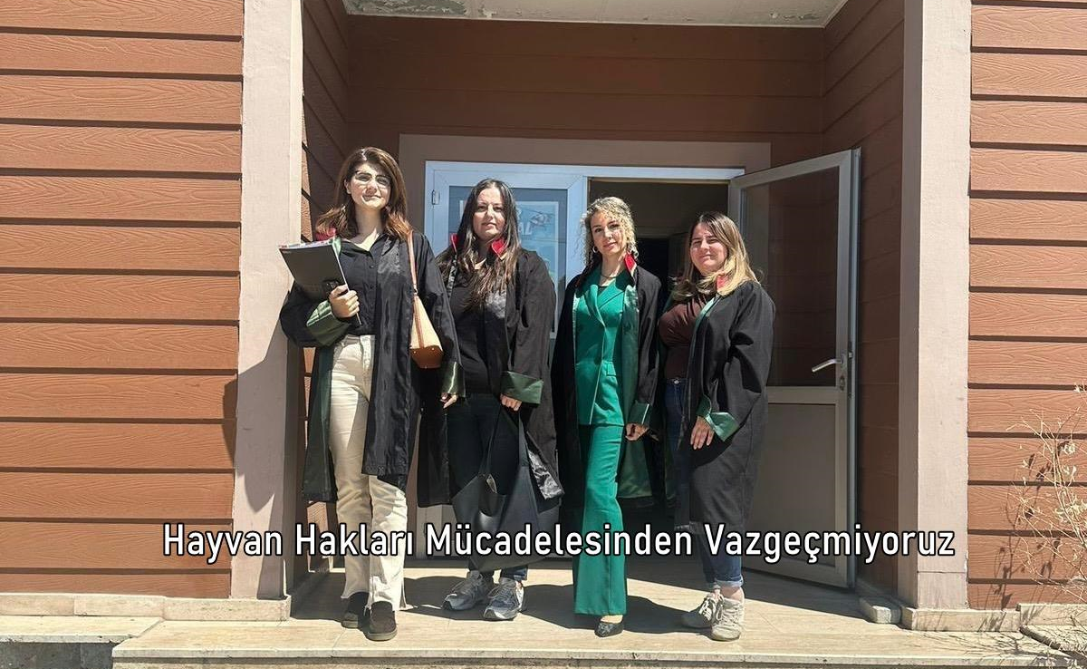 Hayvan Hakları Mücadelesinden Vazgeçmiyoruz